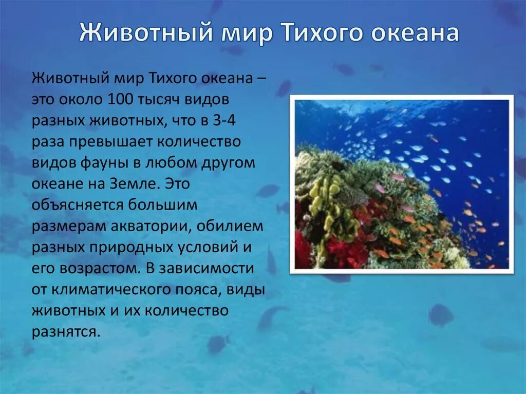 Сообщение жизнь в океане 6 класс. Растительный и животный мир Тихого океана. Описание Тихого океана. Обитатели Тихого океана сообщение. Растительный мир океана.