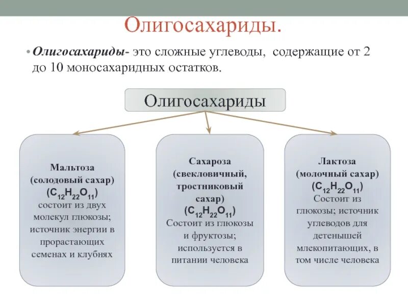 К каким углеводам относится лактоза олигосахарид