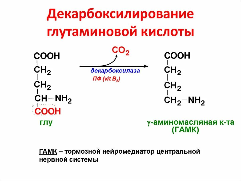 Голодная кислота. Декарбоксилирование глутаминовой кислоты. Декарбоксилирование 2-аминопентандиовой кислоты. Декарбоксилирование аминокислот ГАМК. Продукт декарбоксилирования глутаминовой кислоты.