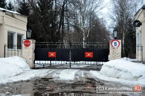 Кинешма сокольники
