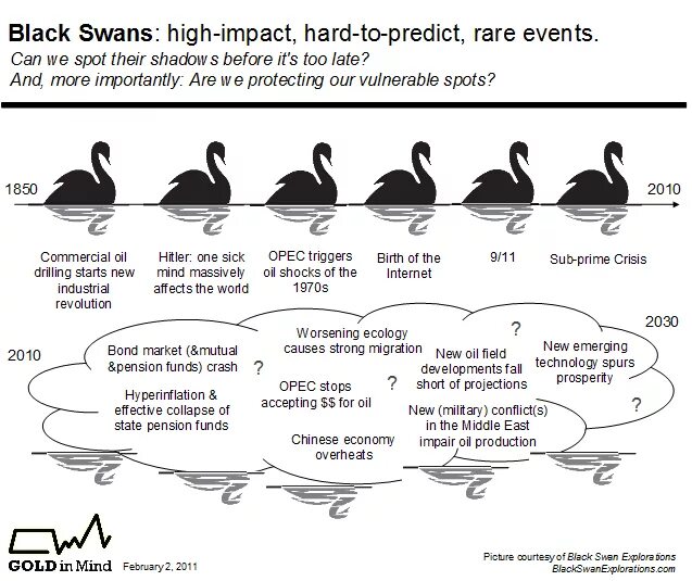 Черный лебедь что это значит в политике. Black Swan event. Черный лебедь на бирже. Black Swan меню. Черный лебедь экономика кратко это.