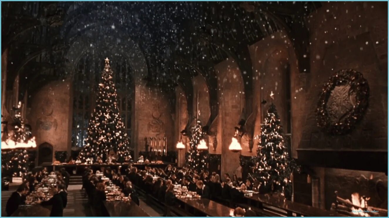 Harry potter new year