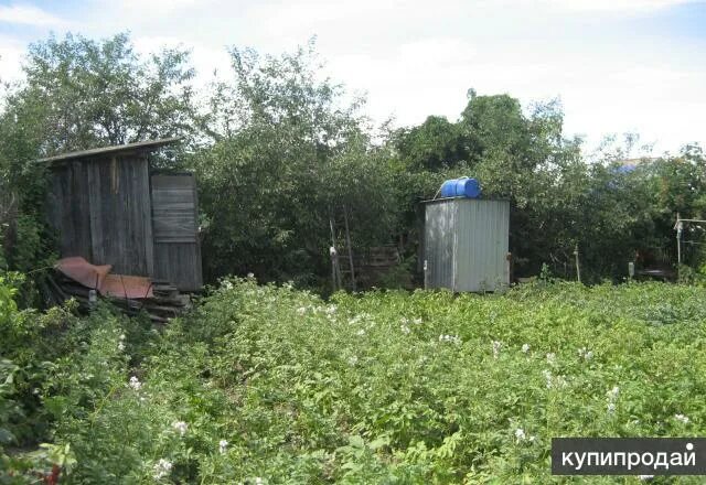 Дача в тосно. Тосно заречная. Массив заречная снт заречная. Массив заречная снт заречная. Участок в ленинградской 34 км тнт заречное.
