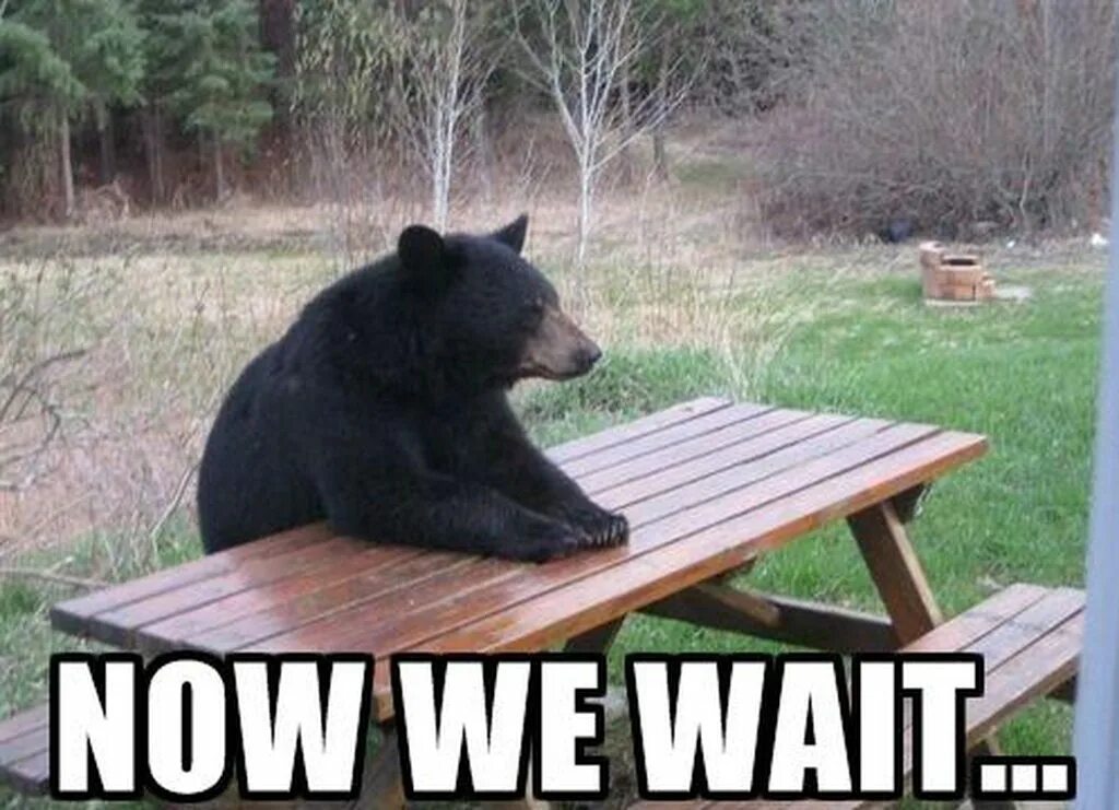 We wait for jane. Now we wait. and now we wait meme. wait wait wait meme.