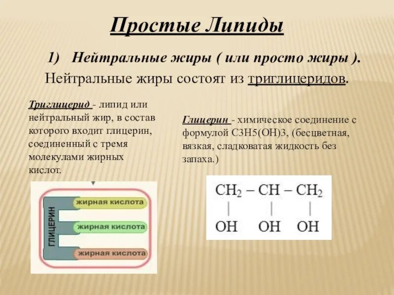 Триглицерид функции. Липиды нейтральные жиры. Триглицериды это что простыми словами. Триглицериды норма. Нормальный уровень триглицеридов в крови.