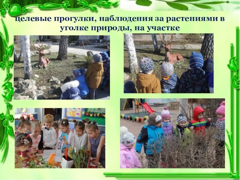 Целевые прогулки в природу. Картинка целевые прогулки. доу приобщение к природе. туева целевые прогулки в природу.