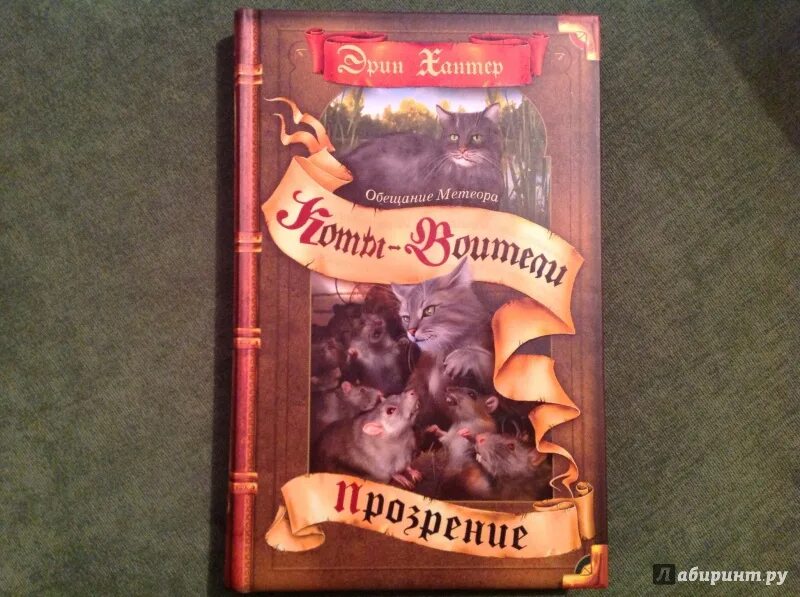 Коты воители книга обещание метеора прозрение. Обещание метеора. Коты-воители. Западня. Коты воители книга обещание метеора.