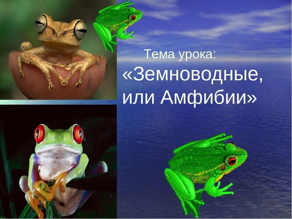 Разнообразие животных. Тема урока разнообразие животных. Тема урока разнообразие животных. Спасибо за внимание животные. Разнообразие животных 3 класс.