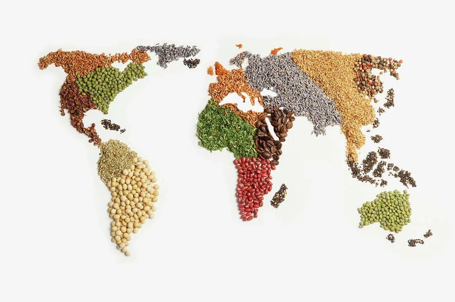 Seed map. Map from seed. seed diversity. dope map seeds.