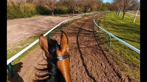 Riding out