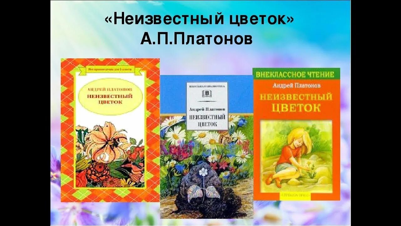 Неизвестный цветок сколько страниц. Неизвестный цветок что понравилось. Неизвестный цветок что понравилось. Неизвестный цветок количество страниц. Неизвестный цветок рисунок.