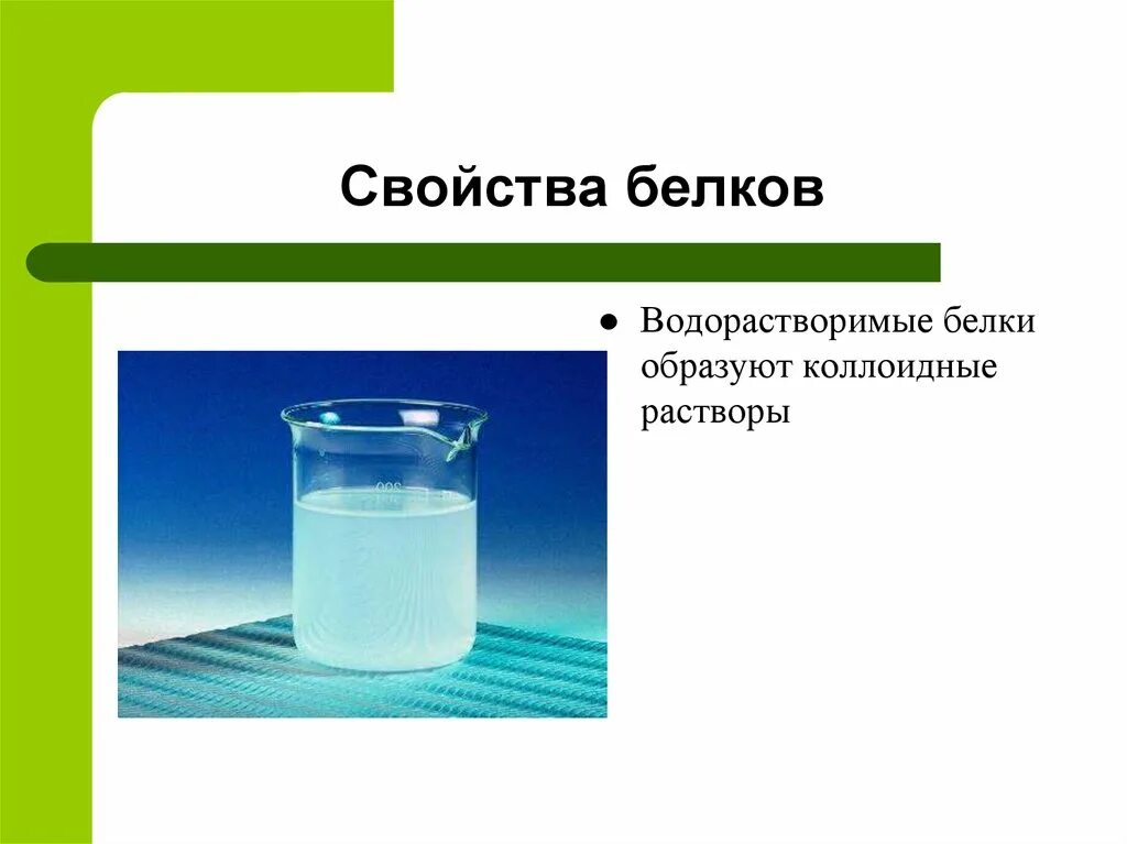 Свойства белковых растворов. Белки образуют коллоидные растворы. Водорастворимые белки. Коллоидные растворы. Водорастворимые белки образуют коллоидные растворы.