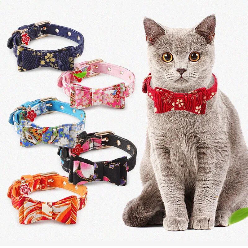 Cat styled