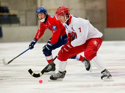 Хоккей с мячом какой вид спорта