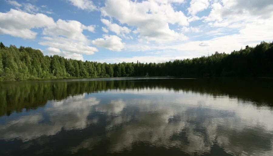 Легенда об озере шайтанколь. Озеро шайтан Уржумский район. Заказник Бушковский лес. Бушковский лес Кировской области. Легенда озера шайтан.