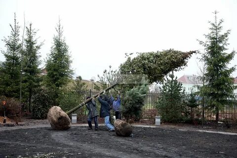 Крупномеры