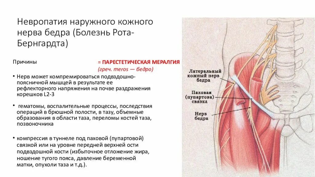 Невропатия полового нерва. Бедренно-половой нерв нейропатия. Невропатия бедренного нерва анатомия. Синдром бокового кожного нерва бедра. Наружный подкожный нерв бедра.