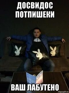Вот и все досвидос пару лет коту