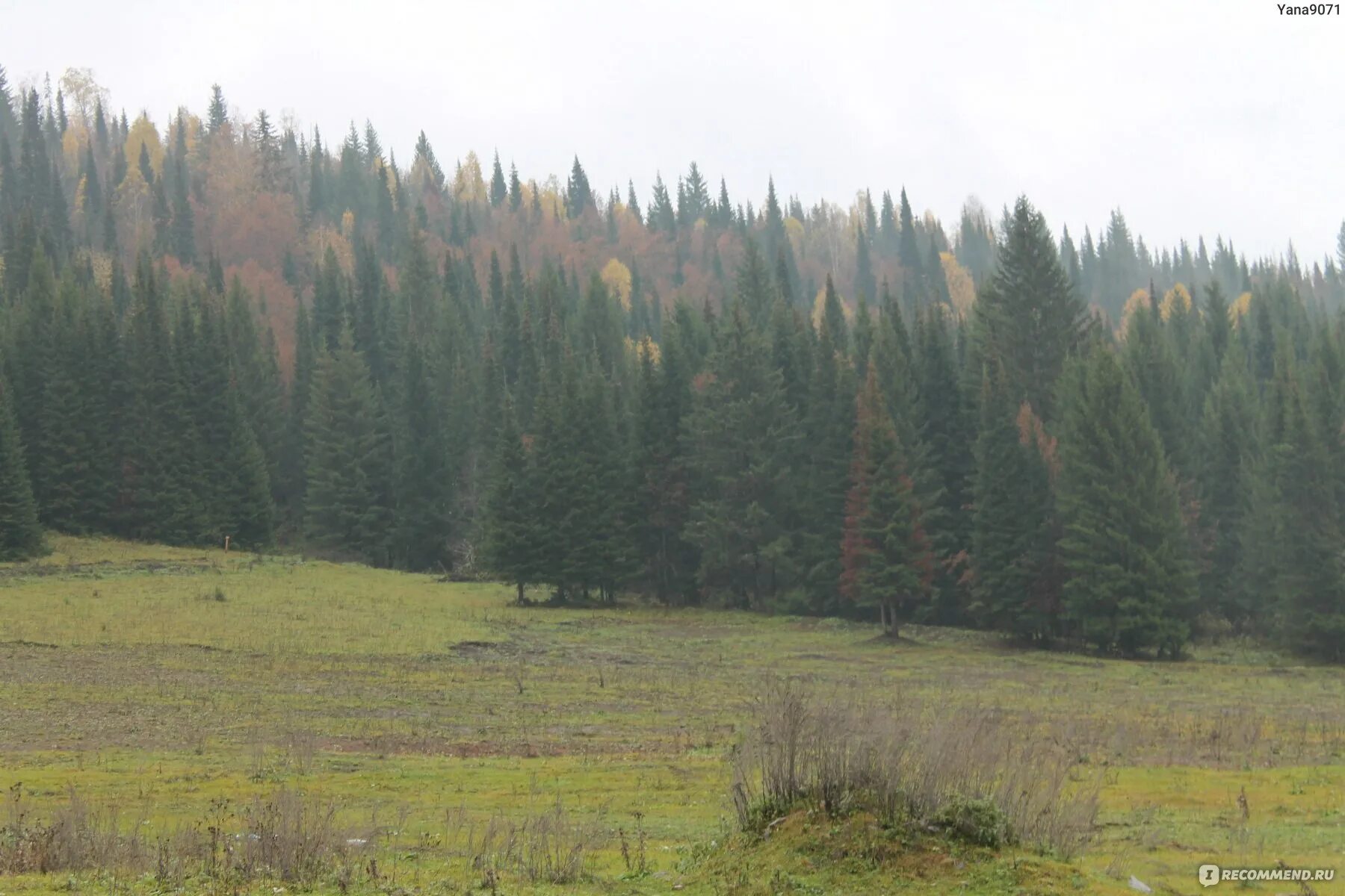 Погода ассы белорецкий. Ассы Башкортостан фото.