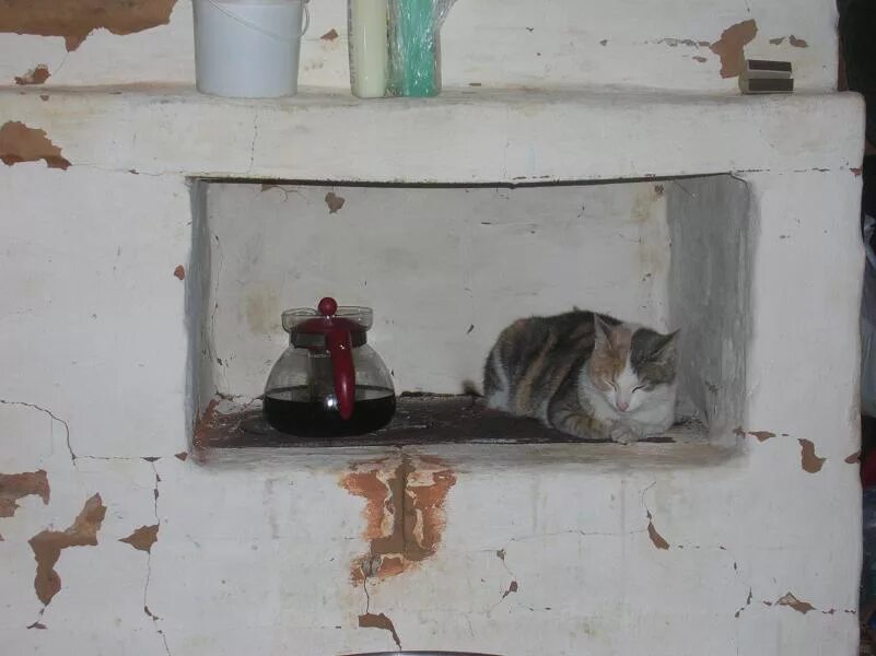 Рыжий зверь в печи сидит. Печка с кошкой. Коты на печке. Кошка на печи. Котик на печи.