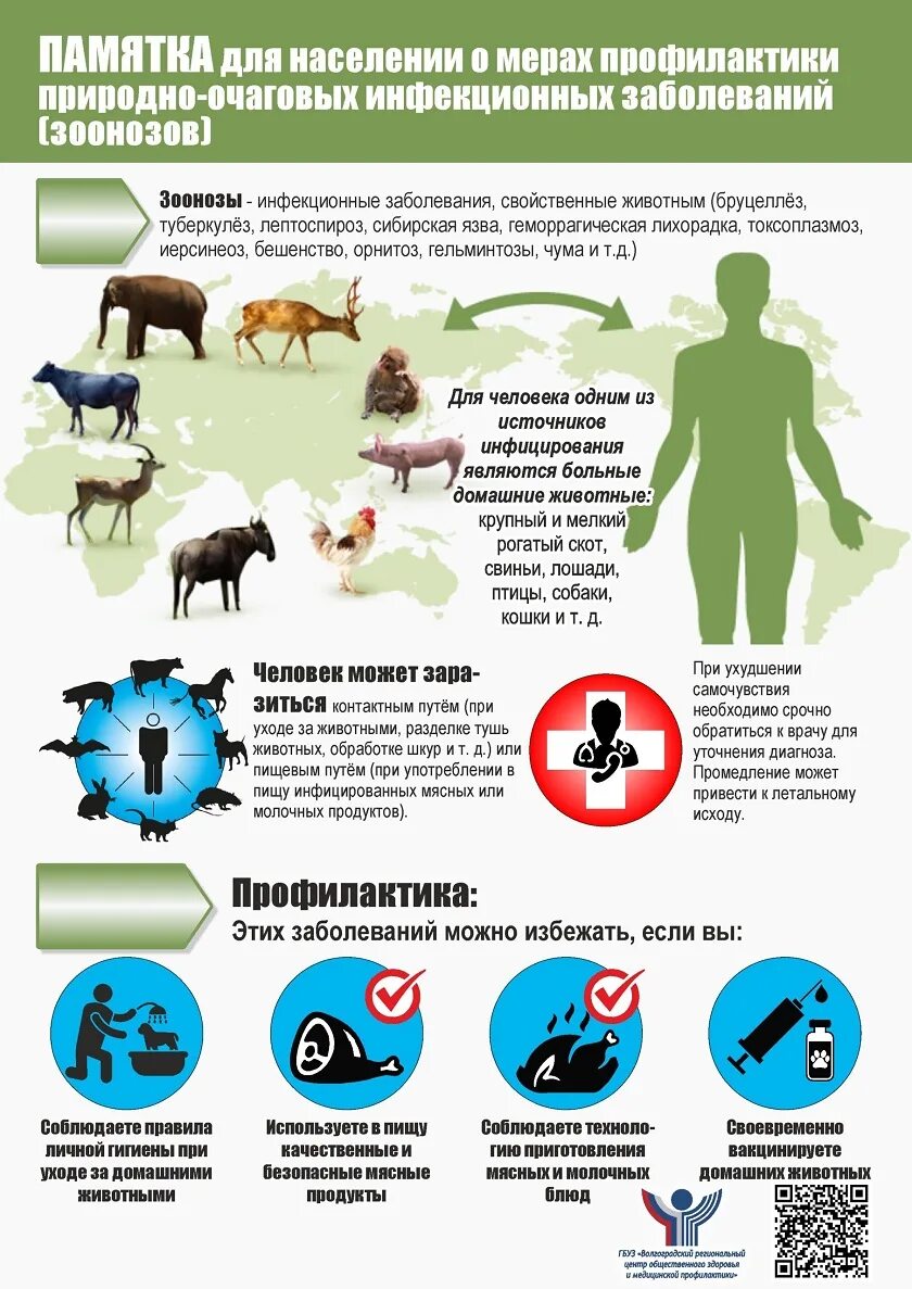 Основные правила инфекционных заболеваний. Профилактика инфекции зоонозных инфекция. Профилактика зоонозных инфекций памятка. Памятка о профилактике заражения зоонозами. Профилактика природно-очаговых инфекций памятка.