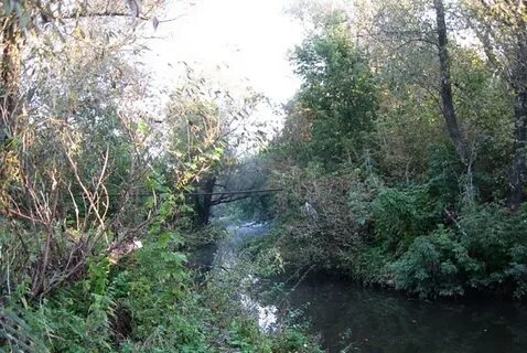 Елань саратовская область