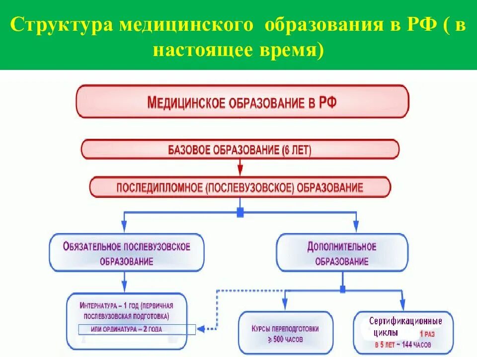 Виды медицинского образования