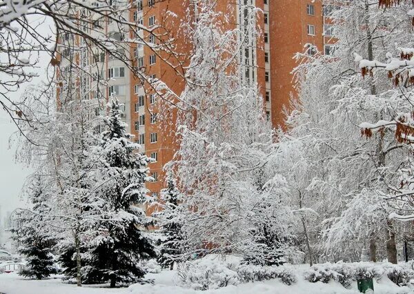 снегопад троицк