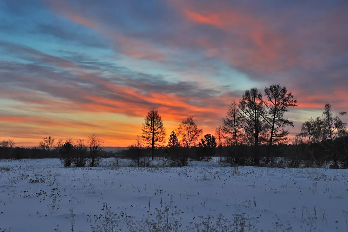 Снежная равнина. Ночное зимнее поле. Поле зимой. Зимнее поле. Зимнее поле.