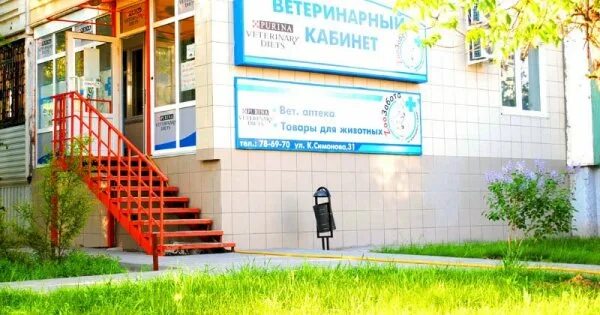 Доктор айболит ветеринарная. Доктор айболит ветеринарная. Улица кирова 96 волгоград. Волгоград ветеринарная круглосуточная. Волгоград ветеринарная круглосуточная.