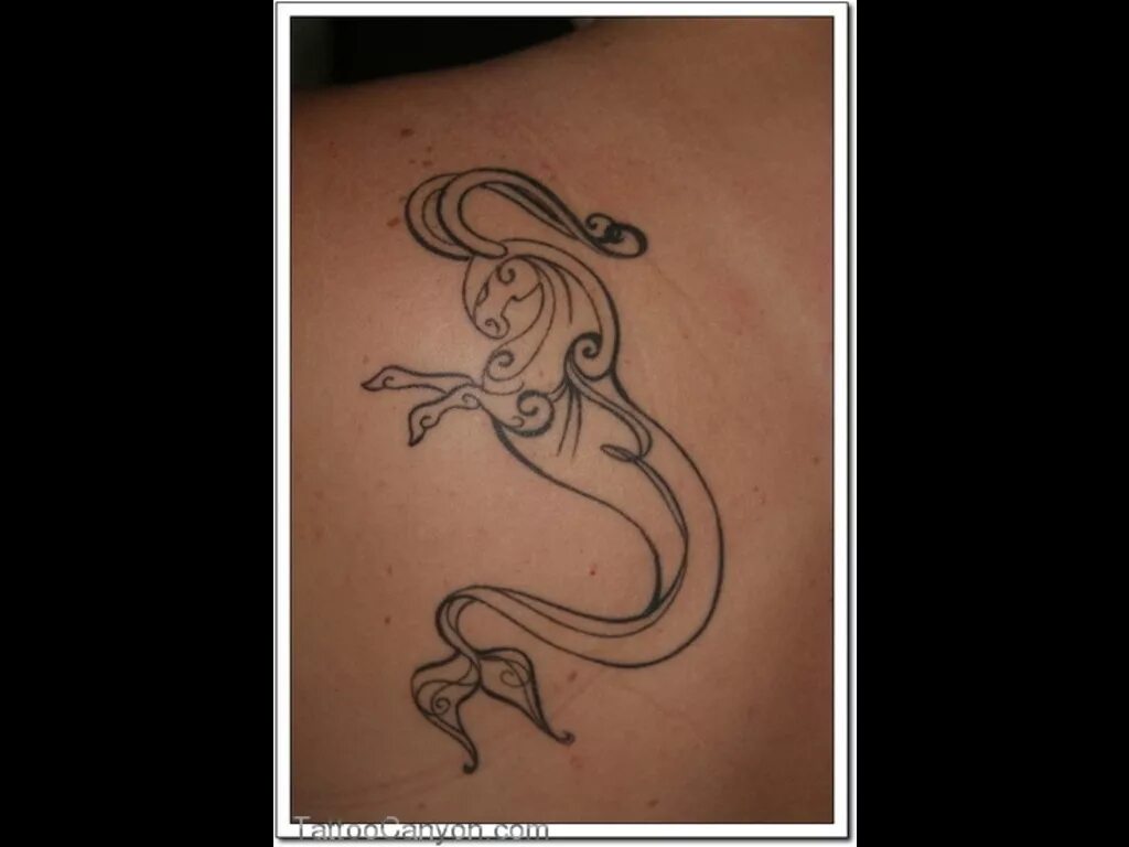 мужчина козерог женщина змея. женщина змея гороскоп. козерог эскиз. характеристика мужчины. характер козерога мужчины.