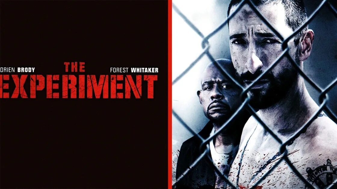 The experiment. Эксперимент the experiment 2010. форест уитакер эксперимент. эксперимент обложка фильма 2010. эксперимент фильм фиммел.