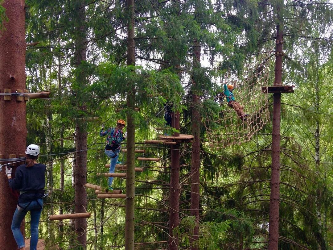 Гринвальд парк веревочный парк. Веревочный парк Скандинавия Greenvald. Гринвальд парк Скандинавия веревочный парк. Веревочный парк Гринвальд СПБ. Веревочные парки спб и ленинградской