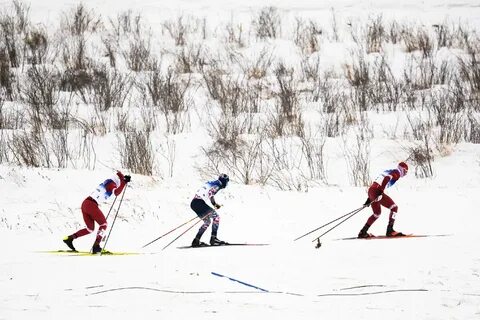 Лыжи череповец