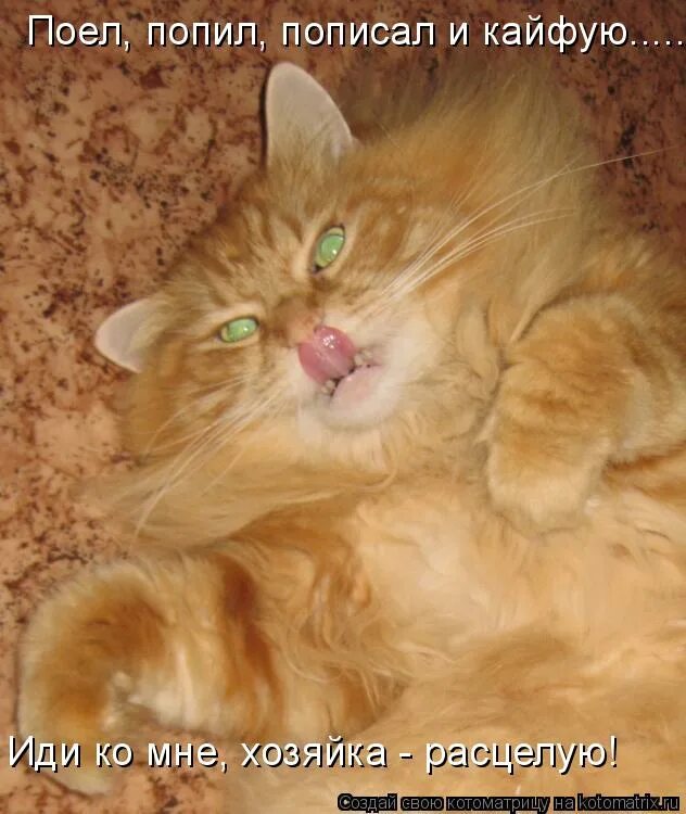 поел попил убери за собой. поели попили. табличка вы въезжаете в техас. прикольные надписи на природе. колбаса хочу хочу.