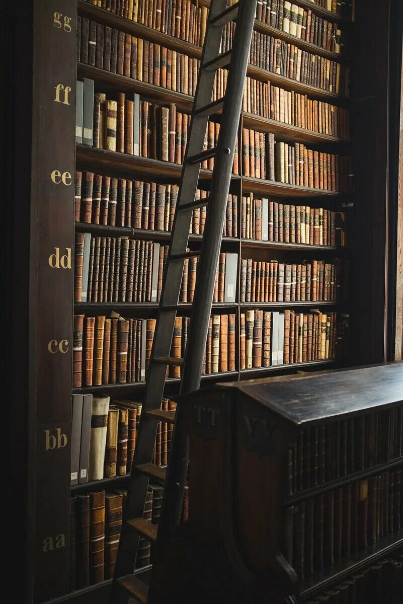 Шкаф книги высокий. Книжные полки. Старинный книжный стеллаж. Полка для книг. Старинный шкаф с книгами.