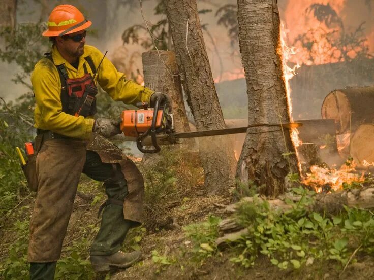 Downed power lines sparked deadly California wildfires - report Express & Star