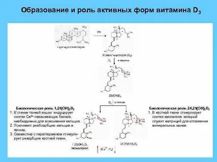 В 1 в активной форме