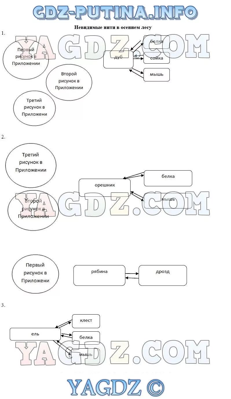 Невидимые нити в весеннем лесу примеры. Невидимые нити в лесу примеры. Невидимые нити схема. Невидимые нити в лесу схема. Невидимые нити в осеннем лесу схема.