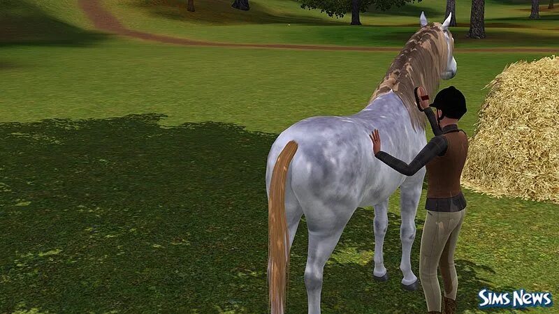 Симс верховая езда. Симс 3 лошади. SIMS 3 Horse. Симс 3 питомцы лошади. SIMS 3 лошади.