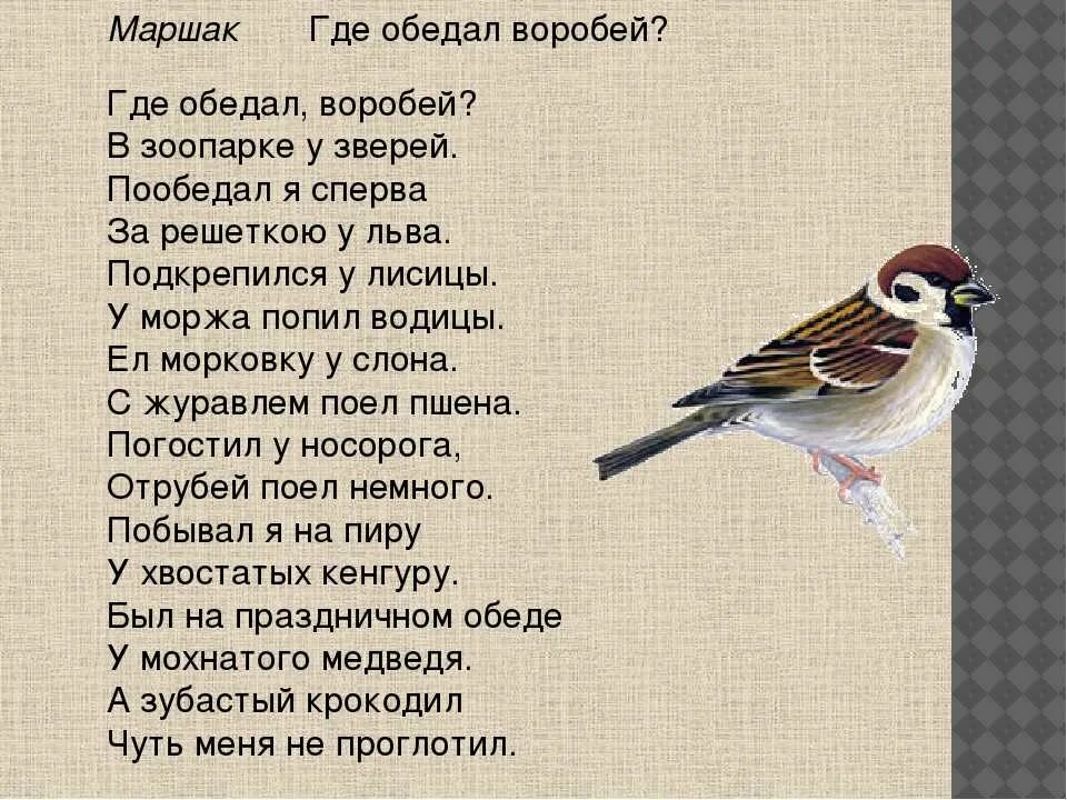 Воробушек рассказ ждановны глава 40. Стих про воробья для детей. Где обедал, Воробей?. Стихотворение воробышки. Стих где обедал Воробей.