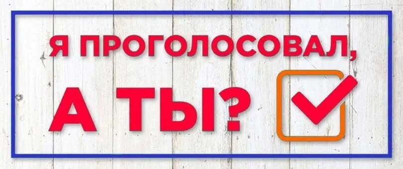 Вернись и проголосуй