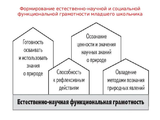 Функциональная грамотность 4 класс горох. Социальная грамотность младших школьников. естественно научная функциональная грамотность младшего школьника. представления о функциональной грамотности. развитие представления о функциональной грамотности по годам.