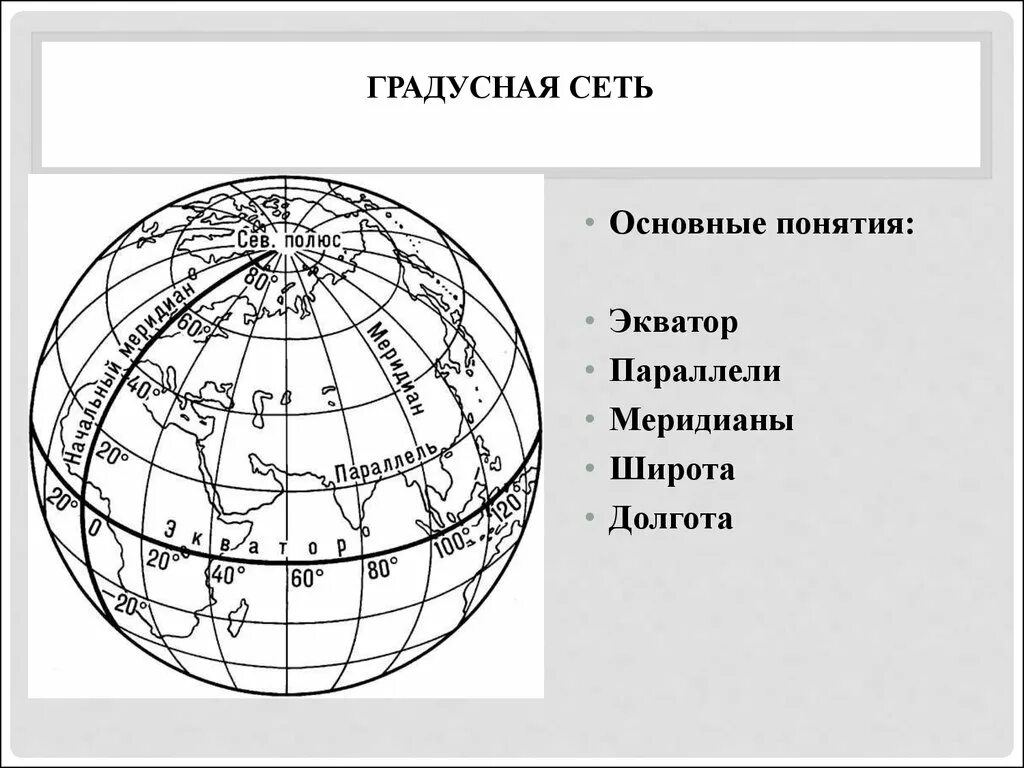 Утверждение о градусной сетке. География параллели и меридианы градусная сеть. Параллели и меридианы градусная сеть 5 класс. Градусная сеть географическая карта география 5 класс. Градусная сеть на глобусе и картах.