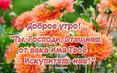 Картинки доброе утро благословенного дня с надписью