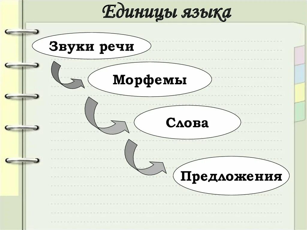 Звуки являются единицами. Единицы языка. Какие единицы языка. Основными единицами языка являются. Последовательность единиц языка:.