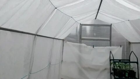 Как затенить теплицу из поликарбоната от солнца