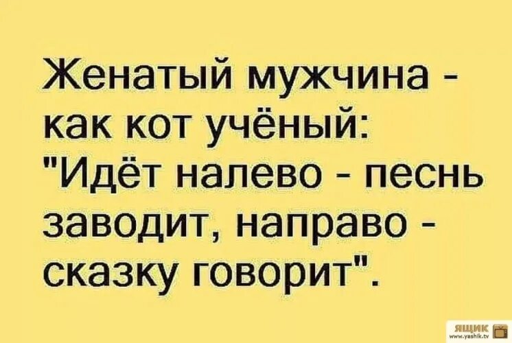 Пойдем на право пойдем налево песня. Женатый мужчина как кот ученый. Идет направо песнь заводит налево сказку говорит. Мужчина как кот ученый идет. Идёт налево сказку говорит.