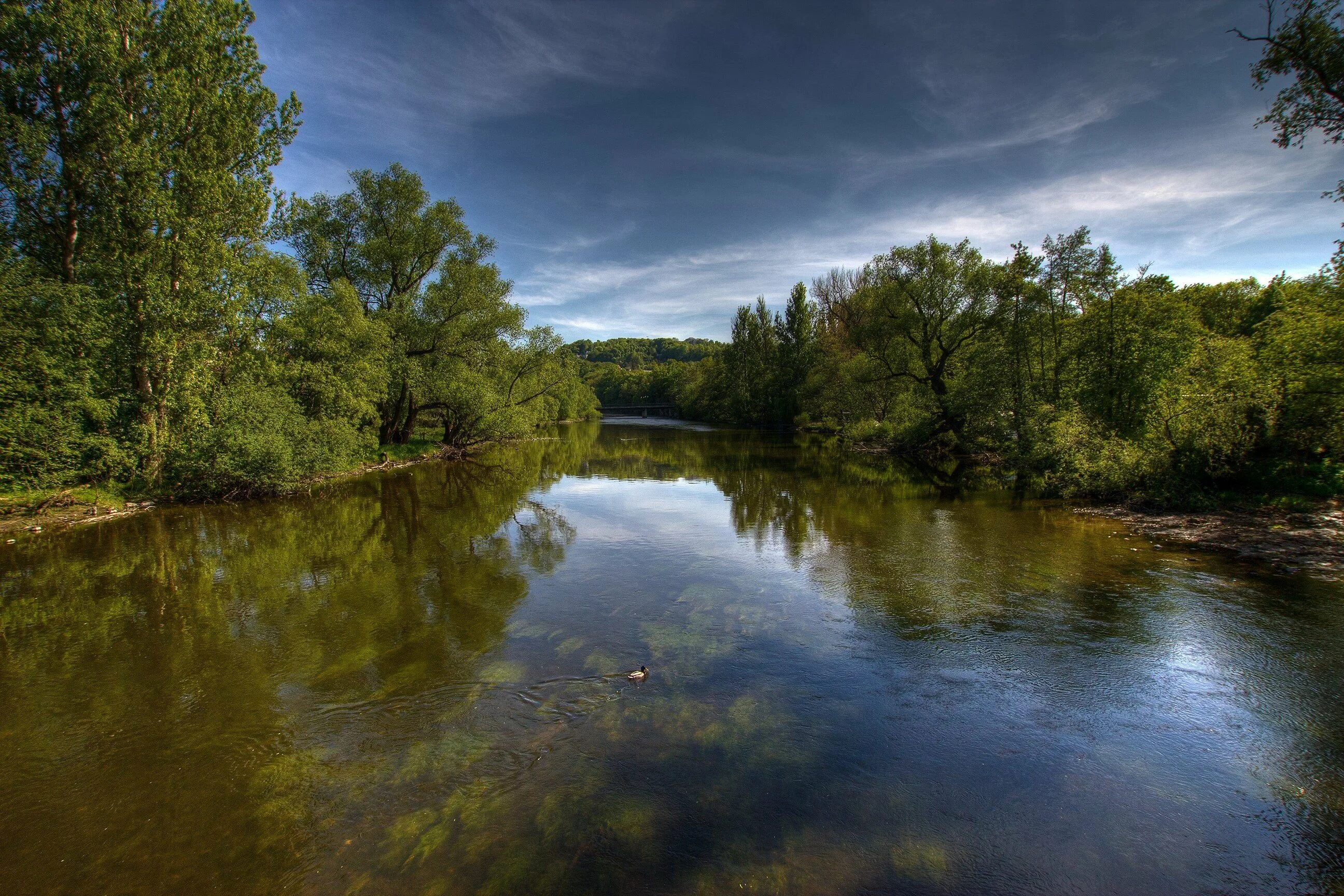 Красивая речка. Фотография реки. Река хорошая. Река хорошая. Река ресса.