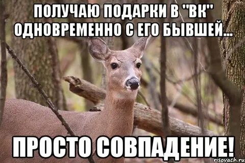 Ну поверь